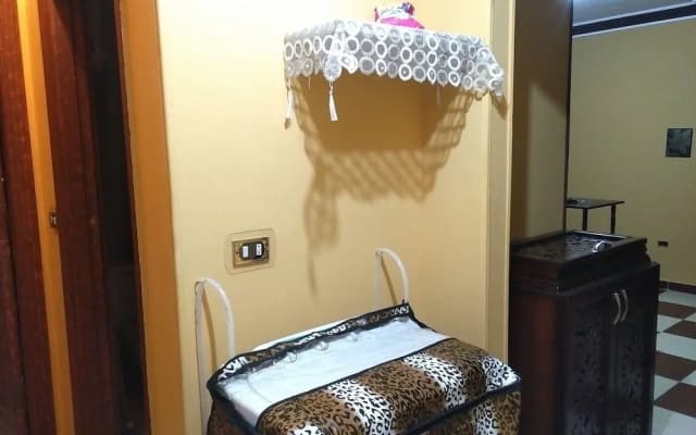 Explore Cairo From A Cozy Designed apt - photo 4