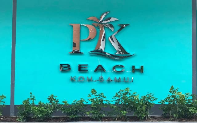 Ptk Beach - photo 4