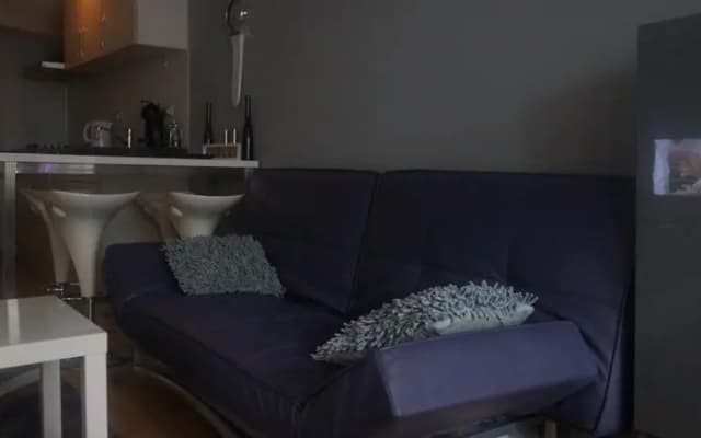 Down Town Apartment - photo 3