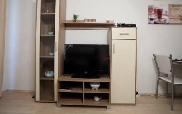 Apartment Pfeilgasse - photo 4