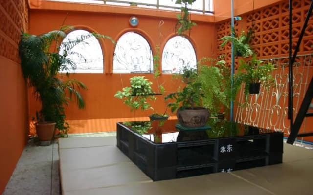 Born Free Hostel - photo 4