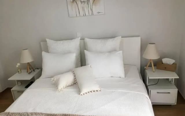 PERLA Apartment in the center of Athens - photo 4
