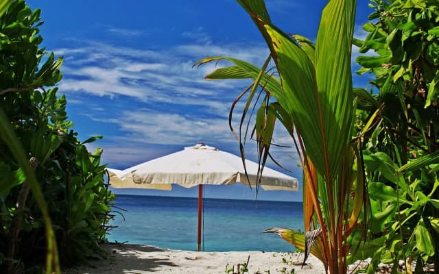 Coral Reef View Inn - photo 5