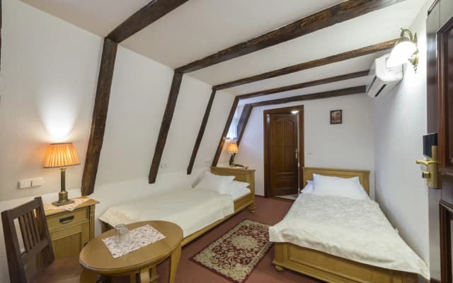 Hotel Cerny Slon - photo 4