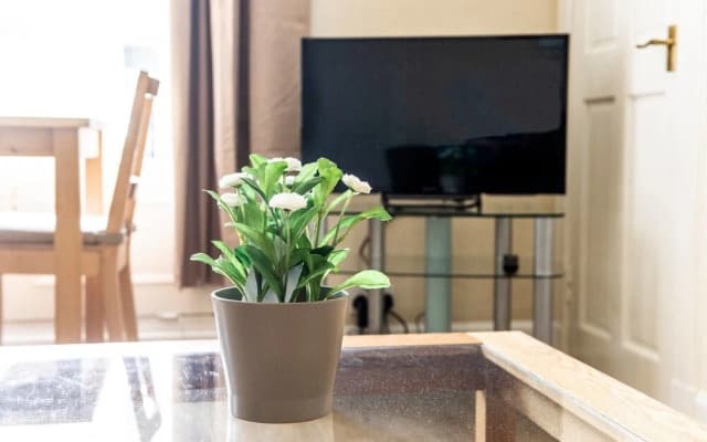 Bright and Airy Apartment in Newington - photo 2