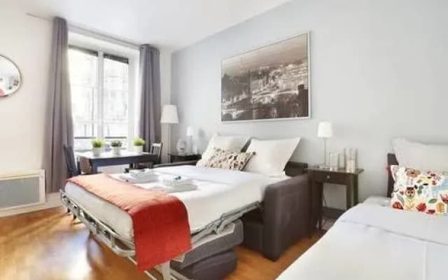 Studio Prestige rue du Commerce - photo 2