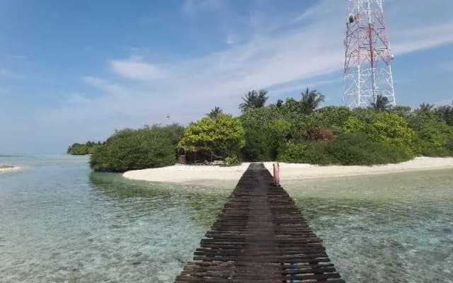 Thulusdhoo Stay Guest House - photo 2