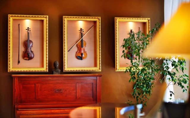 Hotel Adler - Czech Leading Hotels - photo 2