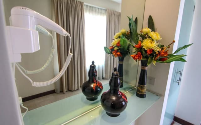 Peninsula Residence All Suite Hotel - photo 4