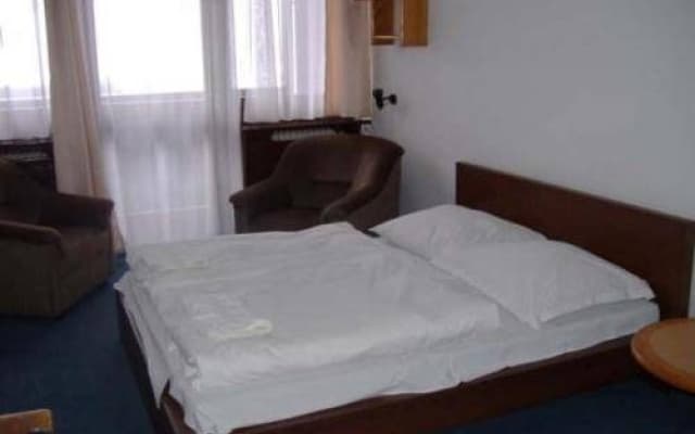 Budai Sport Hotel - photo 4