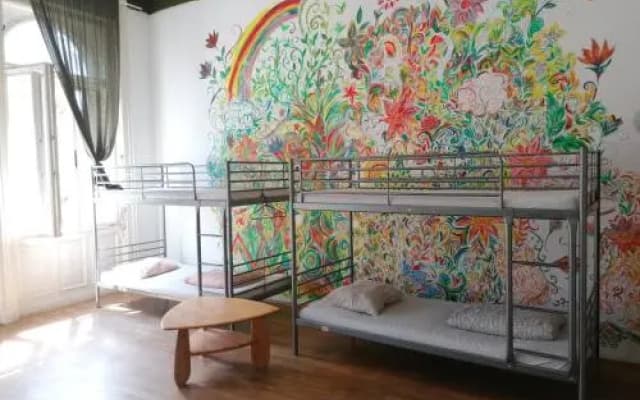 Black Dog Hostel - photo 3