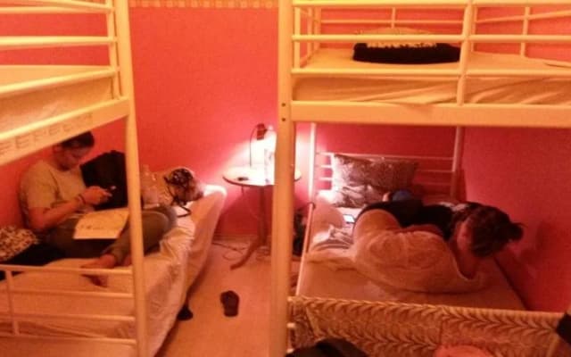 Oleander Hostel - photo 2