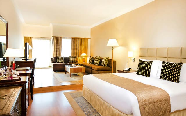 Millennium Plaza Downtown Hotel - photo 5