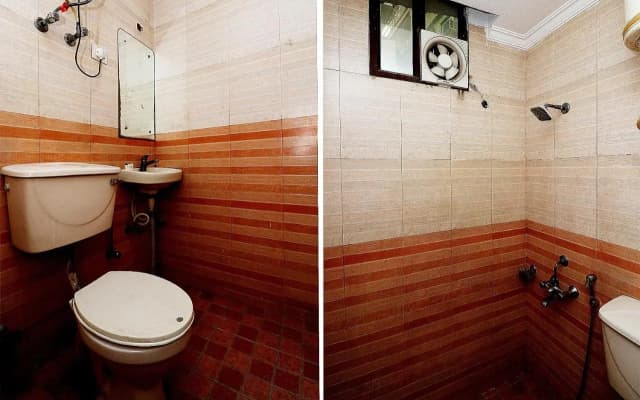 Hotel Shoba Inn - photo 4