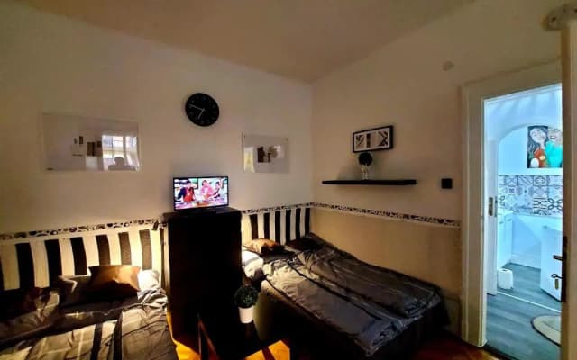 Gecko Centrum Studio Apartman - photo 5