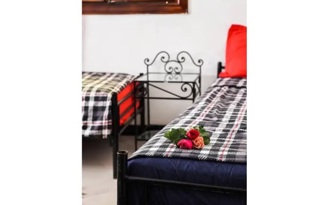 Peace Hostel - Adults Only - photo 2