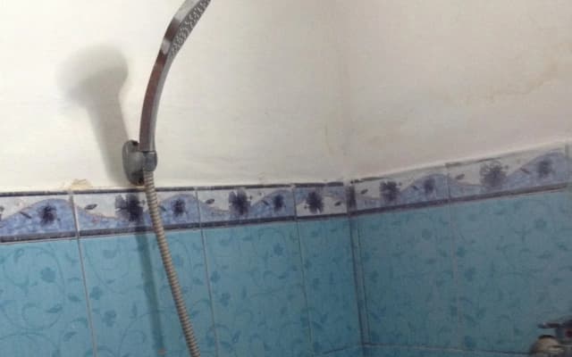 Verra Guest House - photo 4