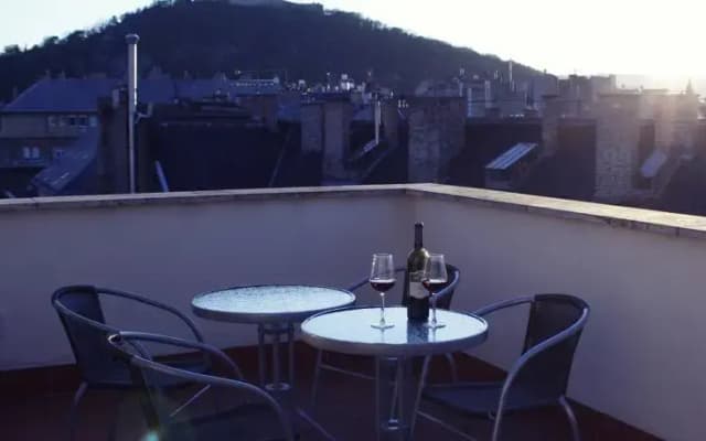 Budapest Rooftop Penthouse - photo 5