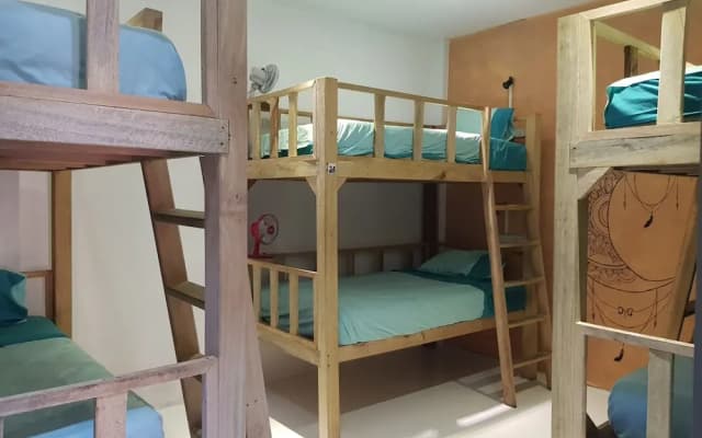 Casa Luna Hostel - photo 5