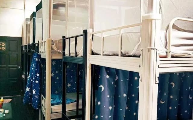 Pirate's Cove Hostel - photo 3