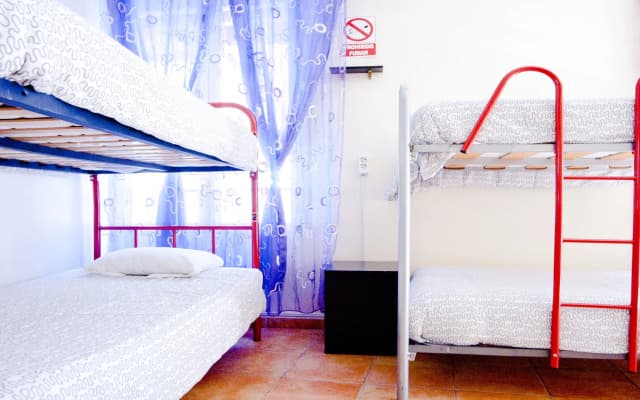 Las Musas Hostel - photo 2