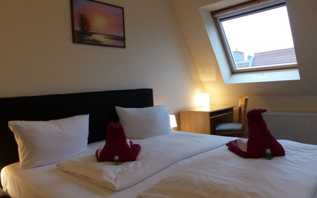 Hotel Comenius - photo 4