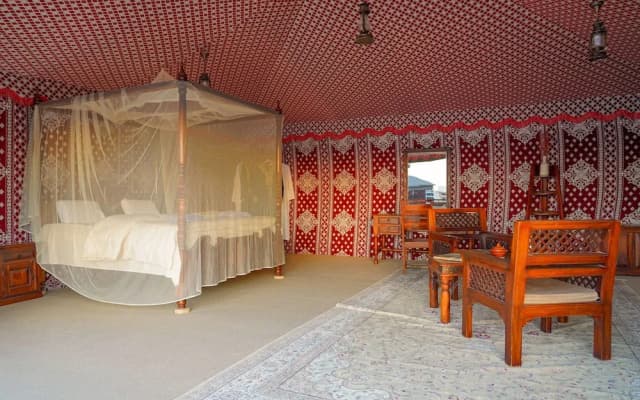 Al Marmoom Dome Luxury Desert Experiential Stay - photo 5