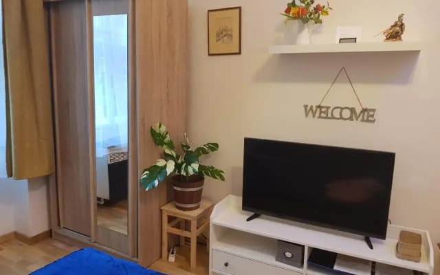 Get Prague Flat Slovenska - photo 5