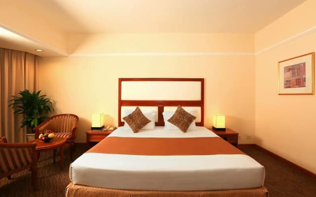 Ramana Saigon Hotel - photo 3