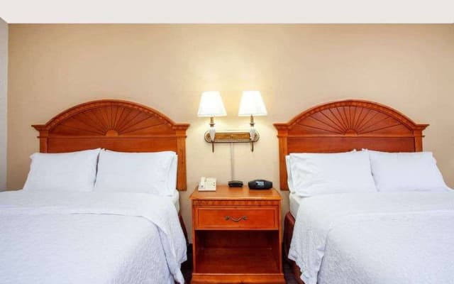 Orlando Palms Hotel - photo 2