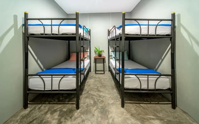 Eclipse Hostel and Bar - photo 2