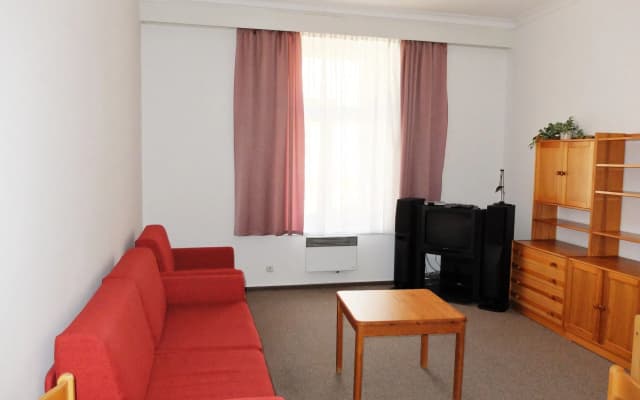 Aparthotel Naprstkova - photo 4