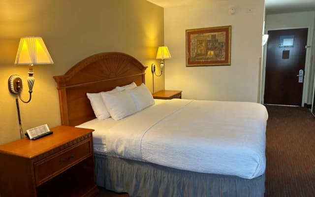 Orlando Palms Hotel - photo 3