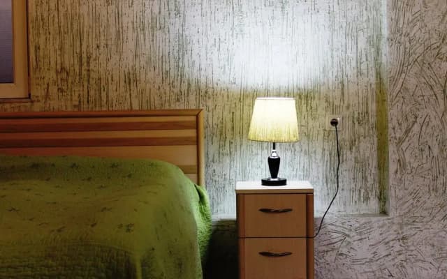 David Mikadze's Apartment 1 - photo 3