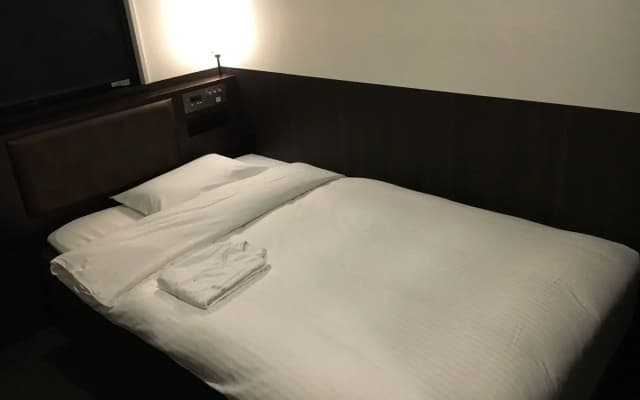 Nest Hotel Tokyo Yaesu - photo 3