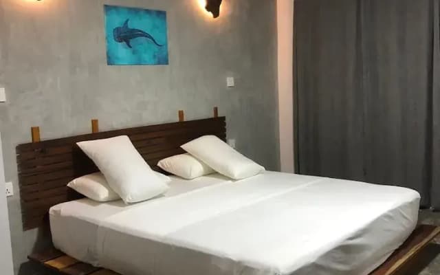 Dive and Sleep - All Inclusive Diving Guesthouse - 3 Dives per day - photo 5