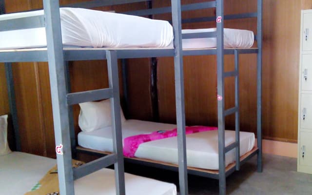 Funky Fish Hostel - photo 5