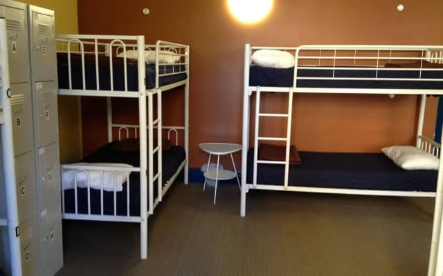 Tiger Hostel Sydney - photo 4