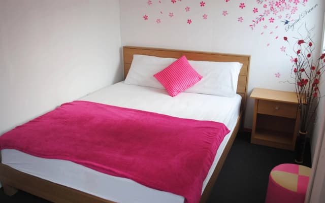 Pink Guest House - photo 4