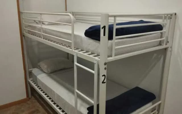 Hostel Travelers Inn - photo 4