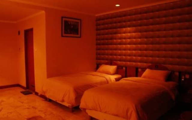 Hotel Agraha - photo 5