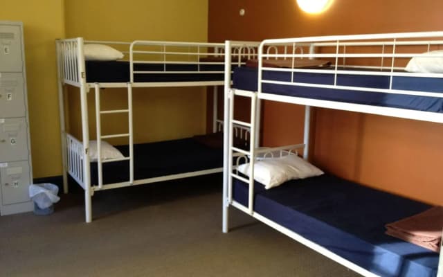 Tiger Hostel Sydney - photo 2