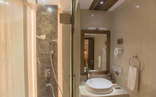 Samann Grand Hotel - photo 5