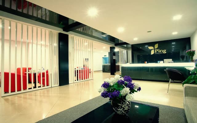 Hanoi Ping Luxury Hotel - photo 2
