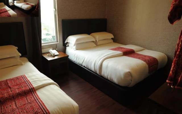 Sea Lion Hotel Firefly Concept Hotel - photo 3