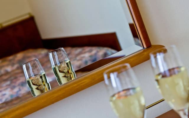 Hotel Melantrich - photo 4