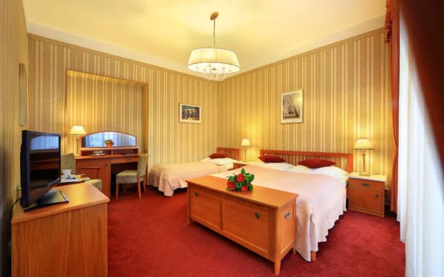 Hotel Salvator - photo 3