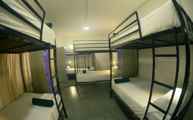 Groove House - photo 2