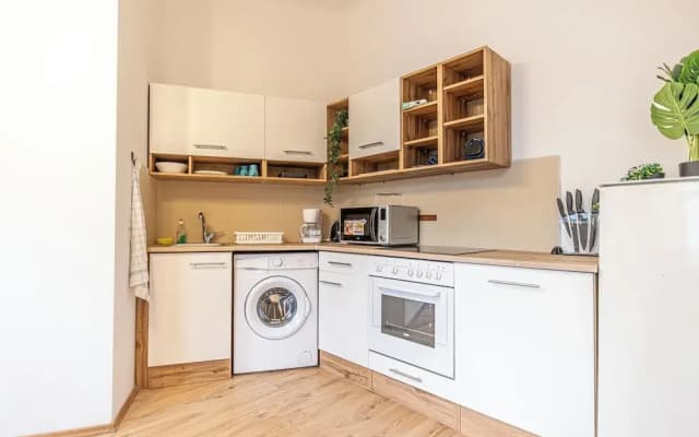 Luxury Flat with Access to Danube - photo 4