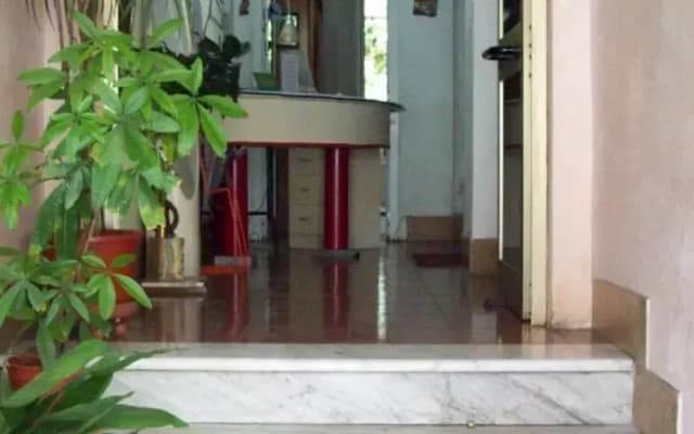 Hotel Viola - photo 2